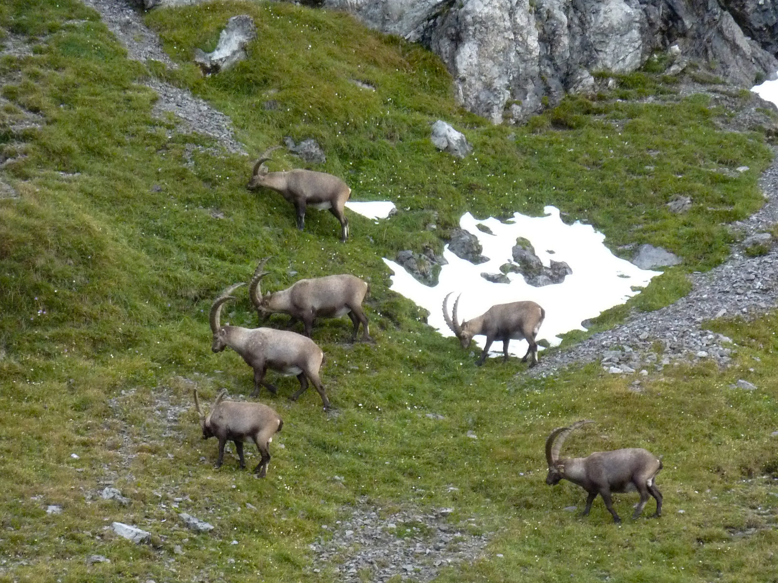 Oostenrijk 2010