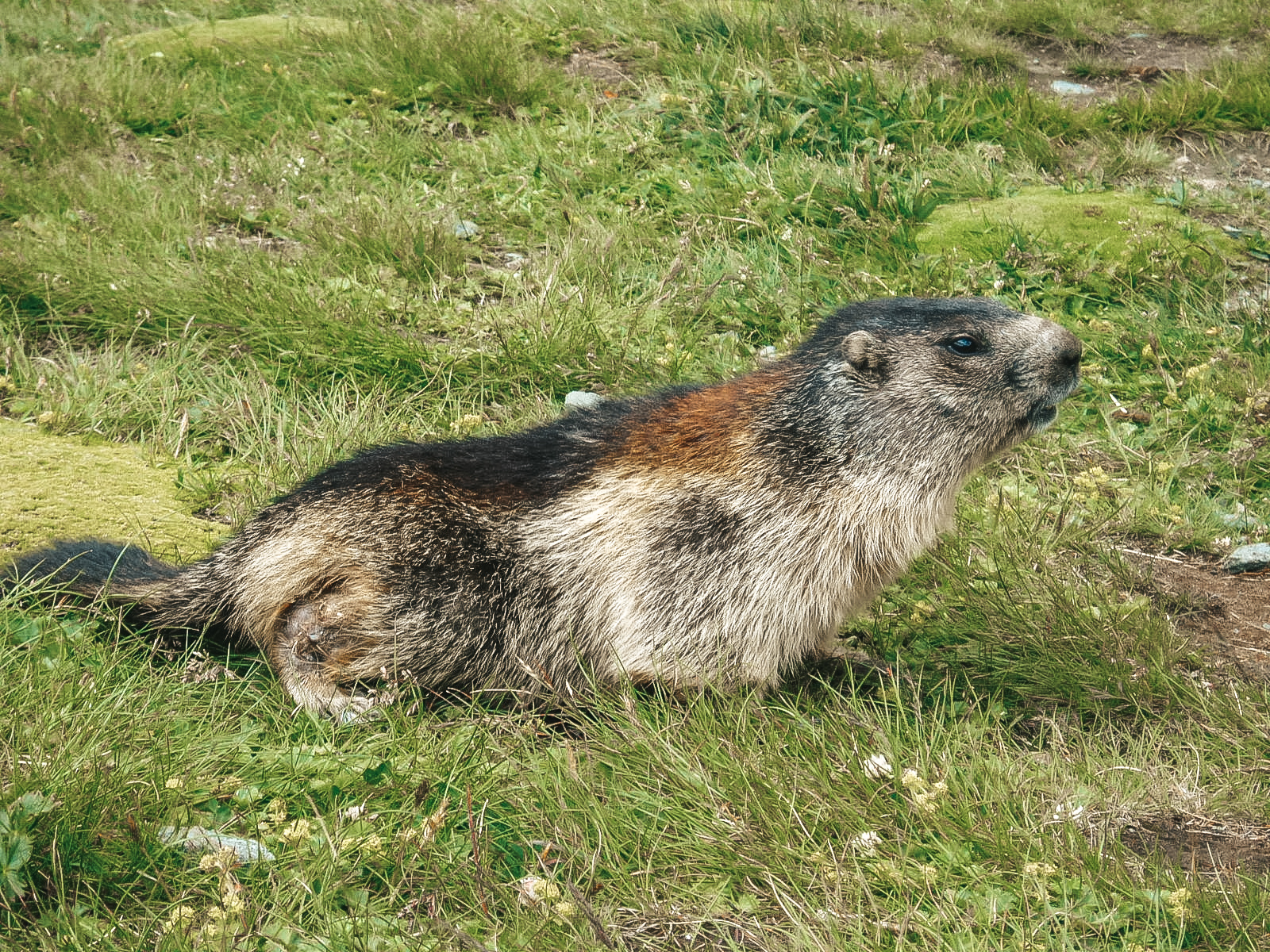 Oostenrijk 2007